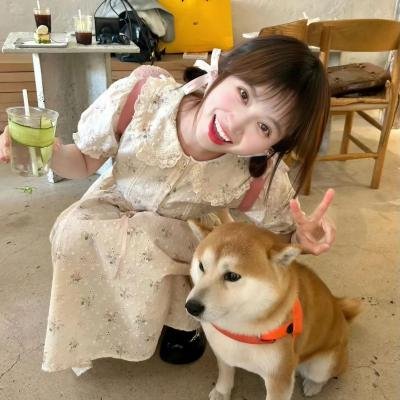 骇人秘事波比特